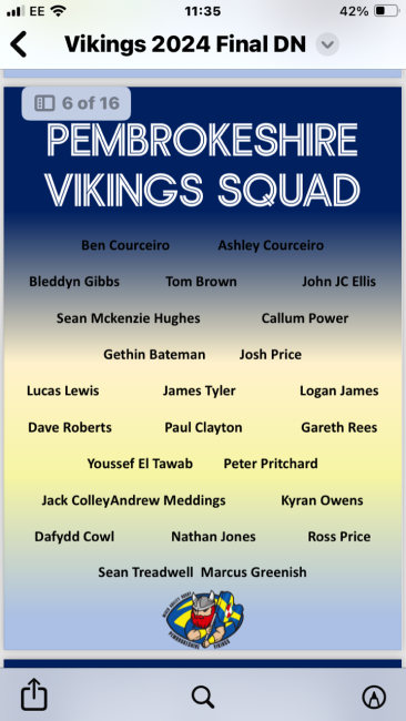 The Vikings team